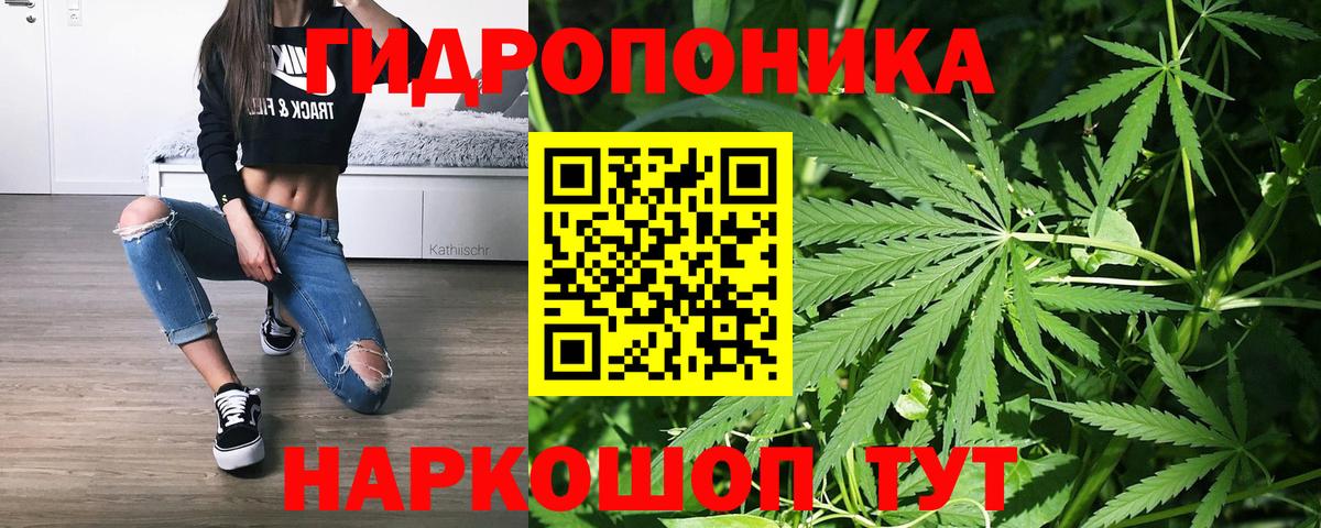 Шишки марихуана планчик  Вход с VPN  Советский  Бошки Шишки план  Каннабис OG Kush 